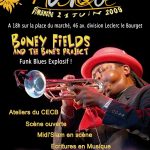 Flyer Concert Boney Fields